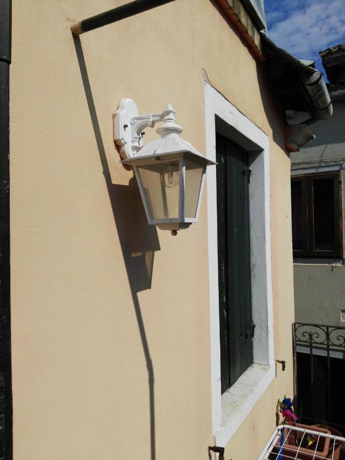 Butterfly * Venezia